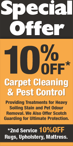 10% off Carpet Pest Control Tweed Coast