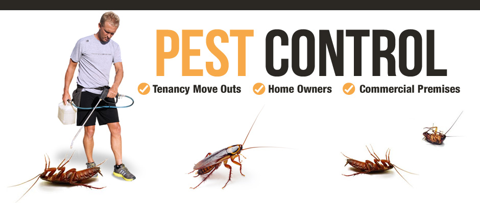 SLIDE-940px-x-398px-0002-Pest-Control.jpg