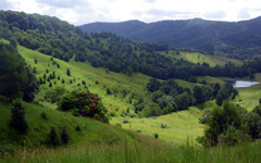 Burringbar
